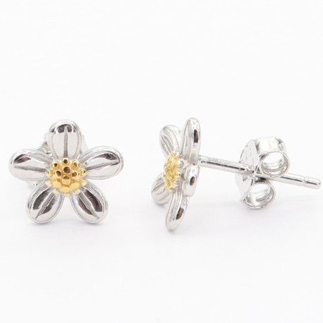 Stříbrné náušnice